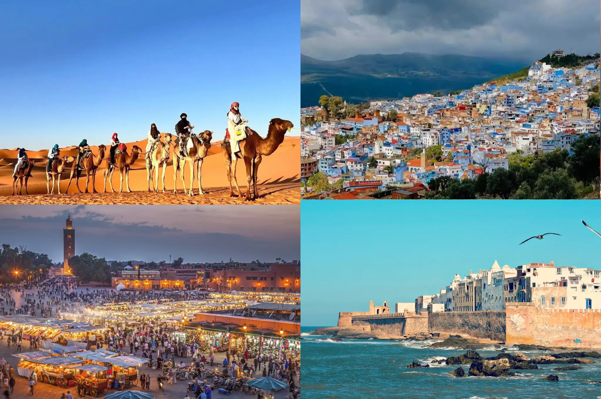 Morocco Vacations