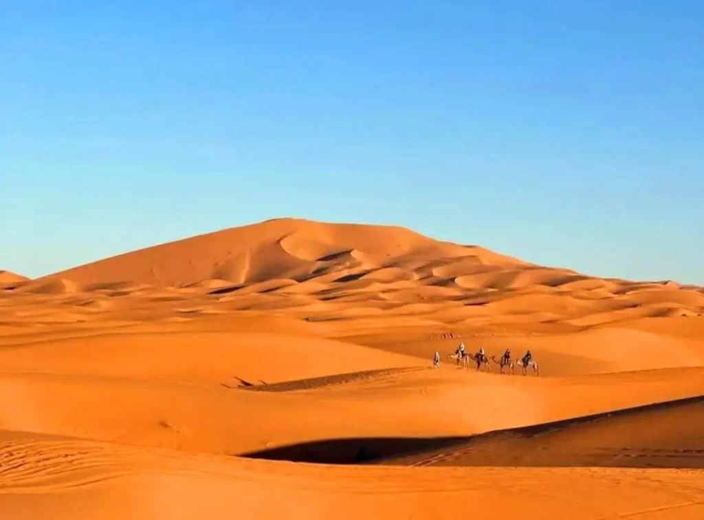 Morocco Expert Tours