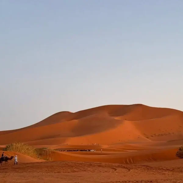 Marrakech to Merzouga