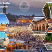 Activities to Do in Marrakech